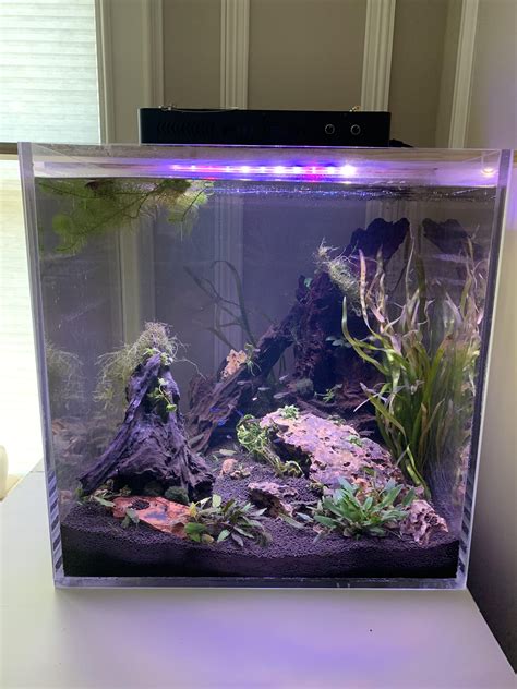 fish tank reddit